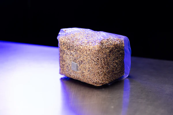 OPTIMA Organic Grain Bag - Sterilized with Injection Port - Image 6