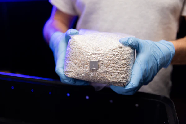 OPTIMA Organic Grain Bag - Sterilized with Injection Port - Image 8