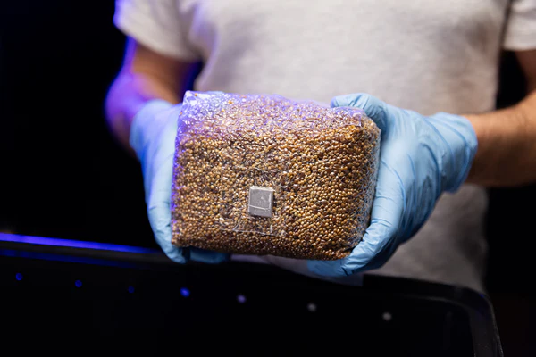 OPTIMA Organic Grain Bag - Sterilized with Injection Port