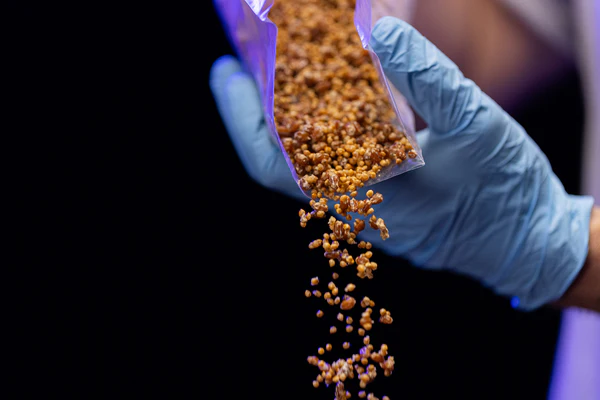 OPTIMA Organic Grain Bag - Sterilized with Injection Port - Image 3