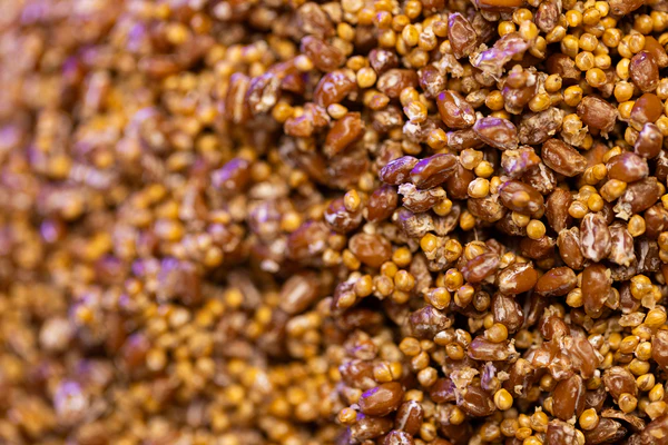 OPTIMA Organic Grain Bag - Sterilized with Injection Port - Image 5