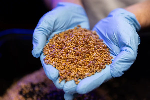 OPTIMA Organic Grain Bag - Sterilized with Injection Port - Image 2