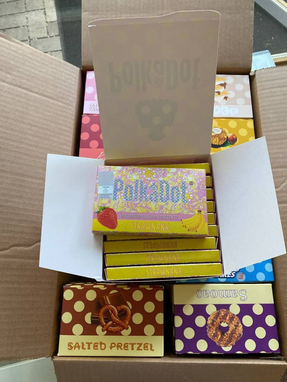 Polk A Dot - Image 2